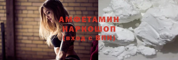 шишки Балахна