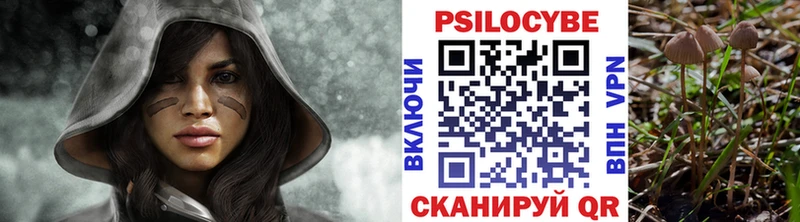mega ссылки  Западная Двина  Псилоцибиновые грибы прущие грибы  где можно купить наркотик 